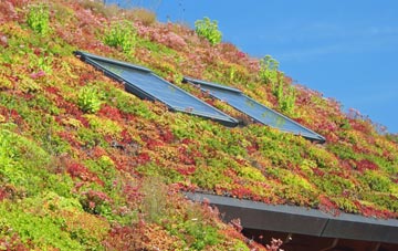 Achnahannet living roof systems