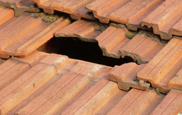 roof repair Achnahannet, Highland
