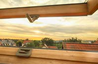 rated Achnahannet roof window companies